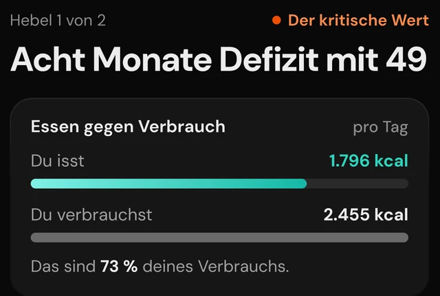 Ausschnitt aus dem Bericht: der kritische Wert
